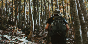 Lire la suite à propos de l’article 5 lectures pour cultiver la résilience