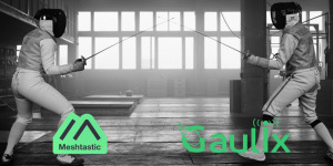 Lire la suite à propos de l’article Meshtastic vs Gaulix [4/4]