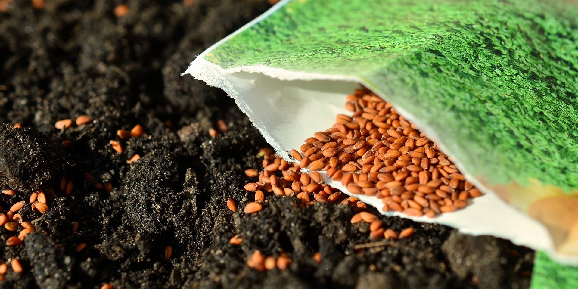 Une banque de graines pour l’avenir