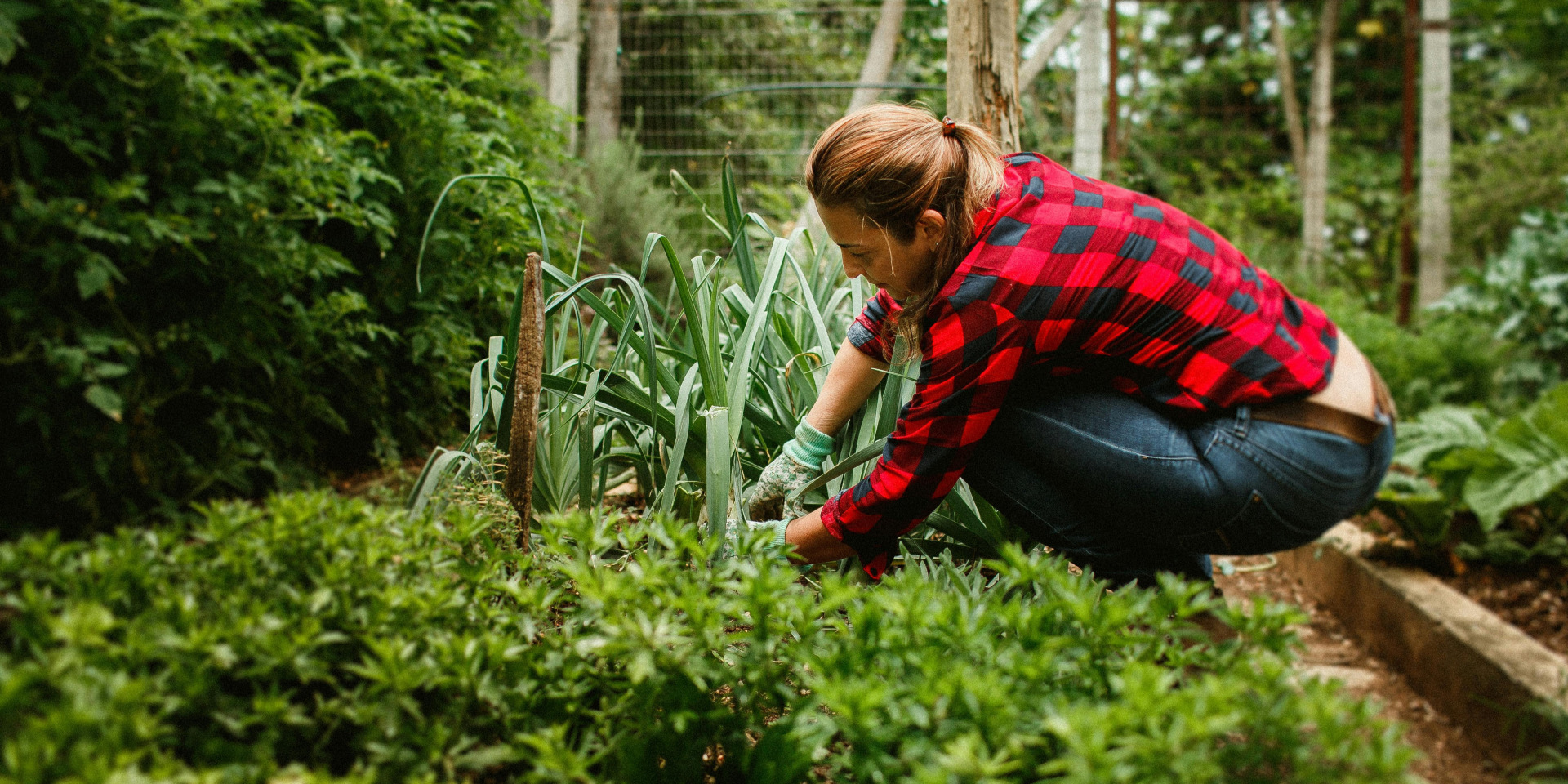 Une banque de graines pour l’avenir