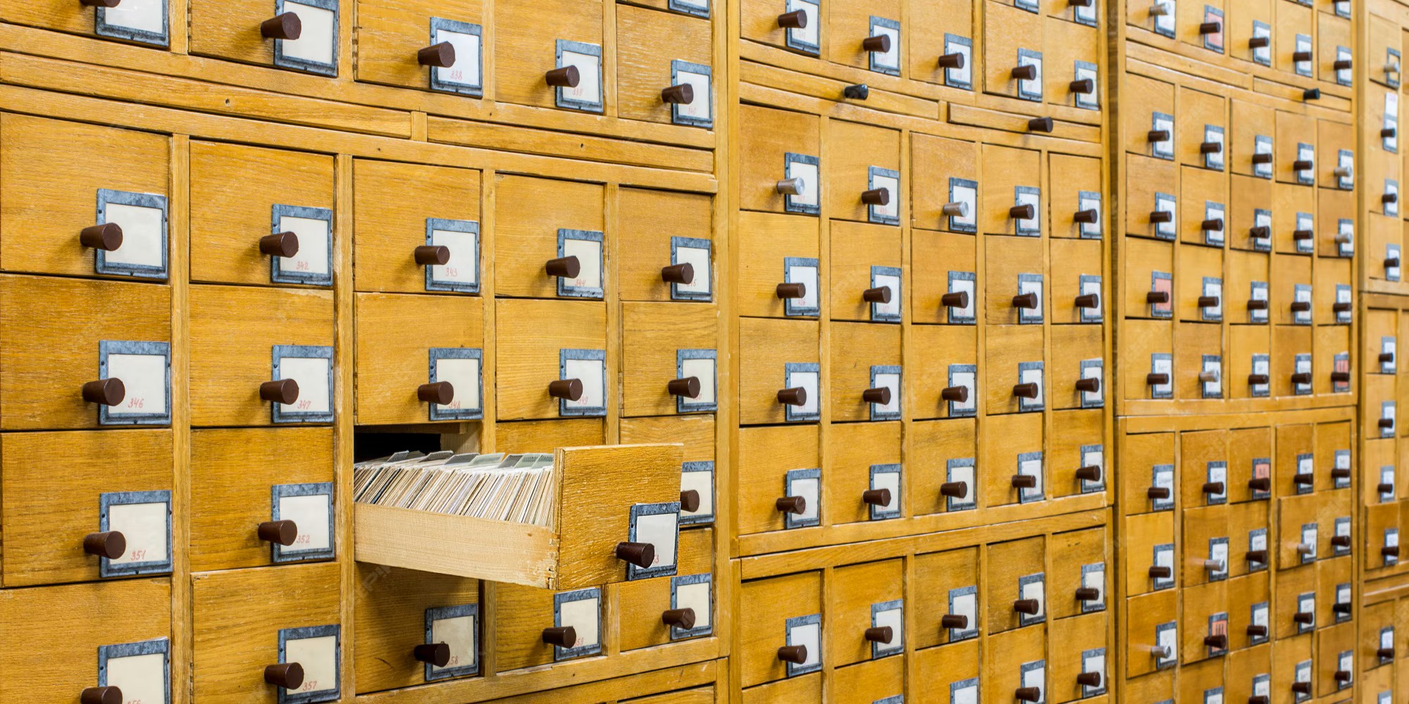 Une banque de graines pour l’avenir - stockage