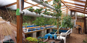 Lire la suite à propos de l’article Walipini 2.0 : serres enterrées adaptées à nos latitudes