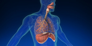 Lire la suite à propos de l’article Module A + R  : Airway & Respiration – MARCHE-RYAN