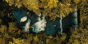 Lire la suite à propos de l’article Holisme et survivalisme : 10 commandements de résilience