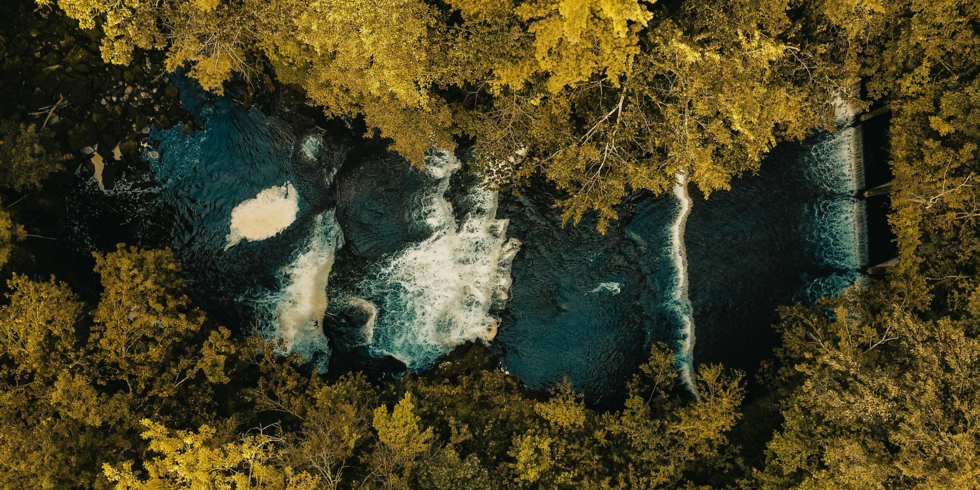 Lire la suite à propos de l’article Holisme et survivalisme : 10 commandements de résilience